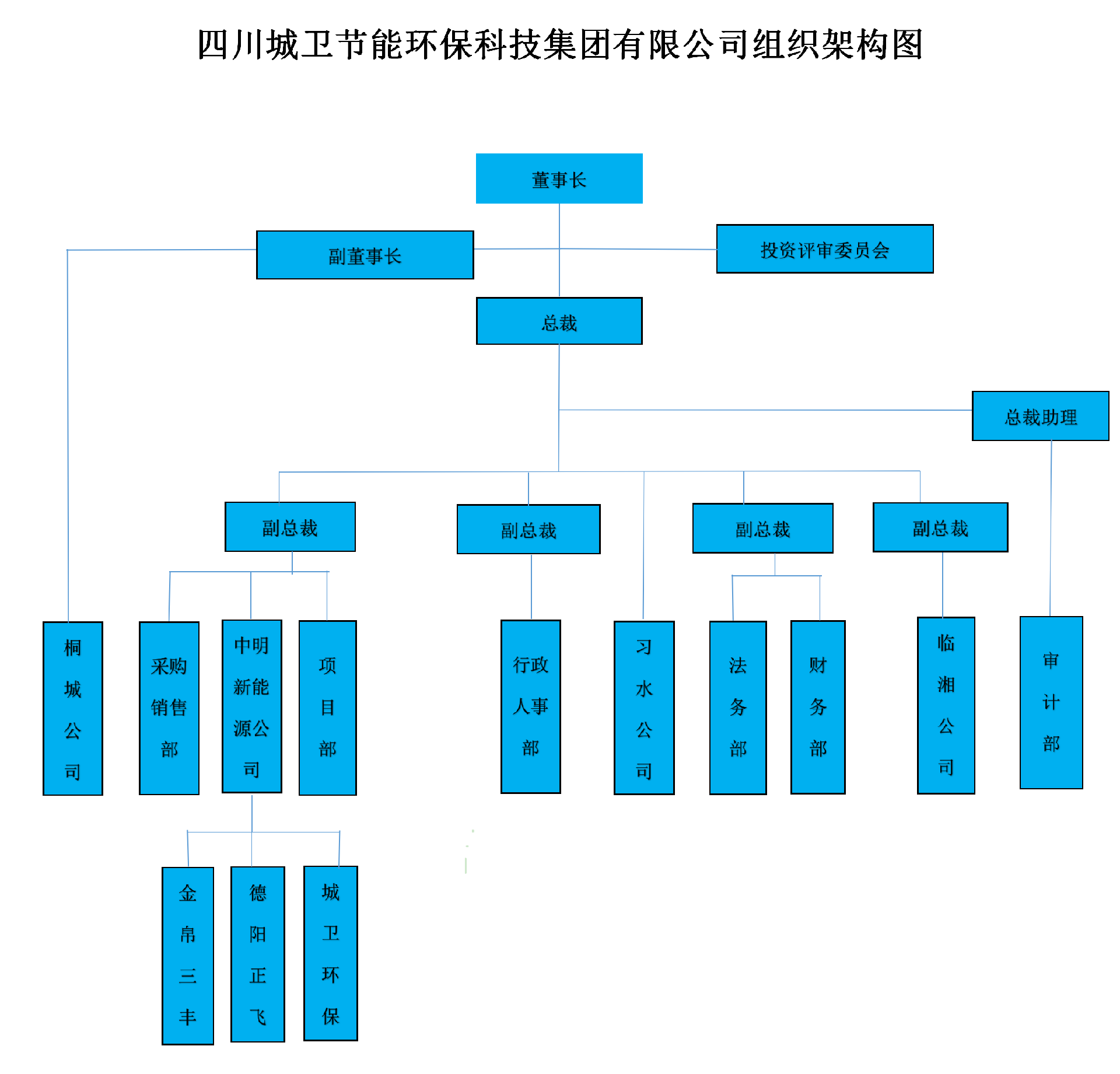 四川城卫节能环保科技集团有限公司组织架构图2024_01(2).png